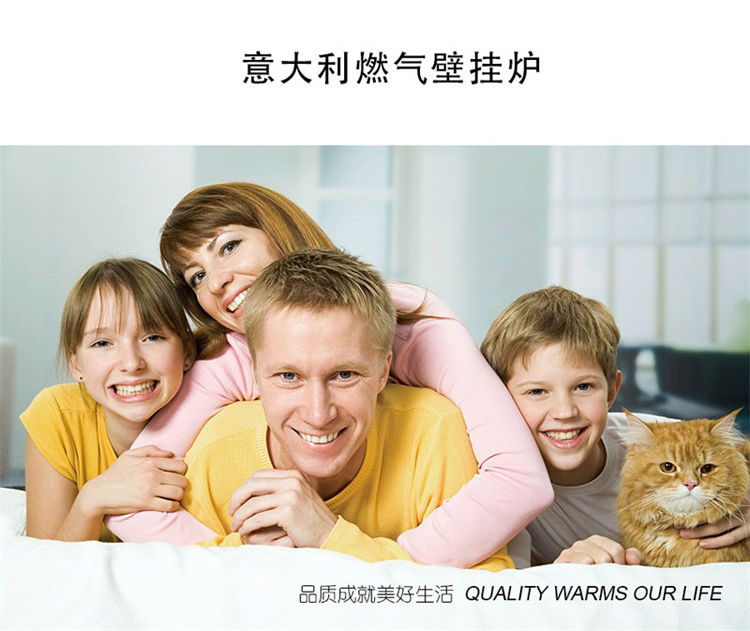 意特尔曼(Italtherm)壁挂炉斯克系列采暖热水两用燃气炉原装进口三代板式(30kw)