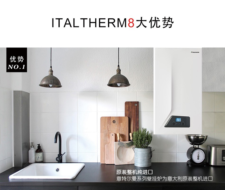 意特尔曼(Italtherm)壁挂炉斯克系列采暖热水两用燃气炉原装进口三代板式(30kw)