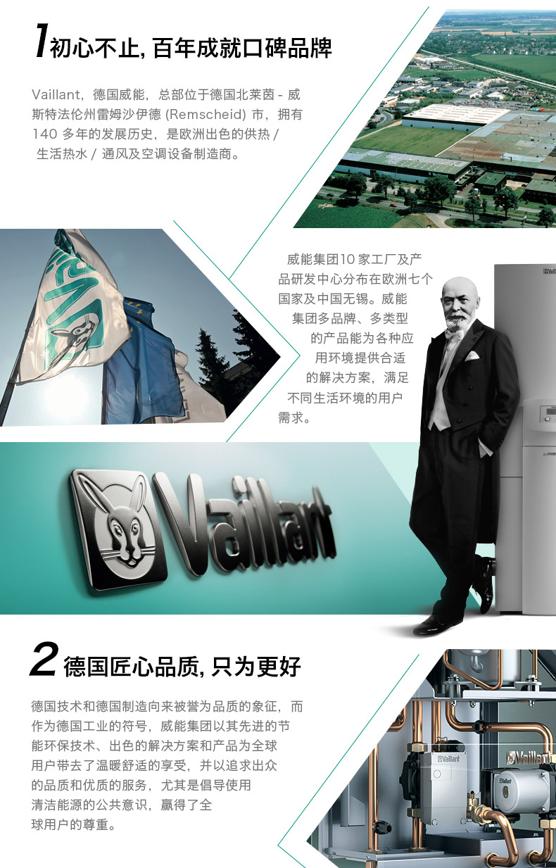 威能(Vaillant) 国内组装壁挂炉(24KW采暖生活热水两用锅炉)